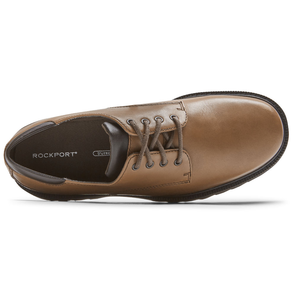 Rockport Mens Northfield Waterproof - Oxfords Dark Brown - VOE547963